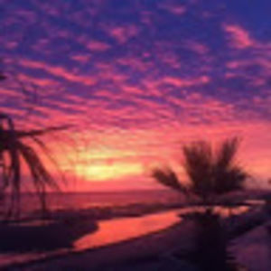 Meet your Posher, Orianne